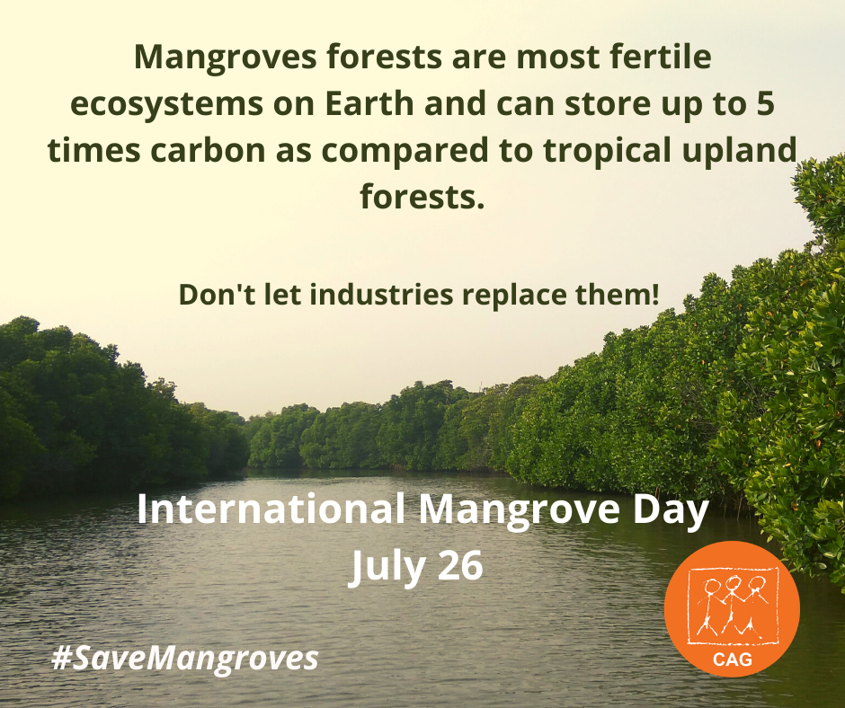 International Mangrove Day 2020 Climate Connection